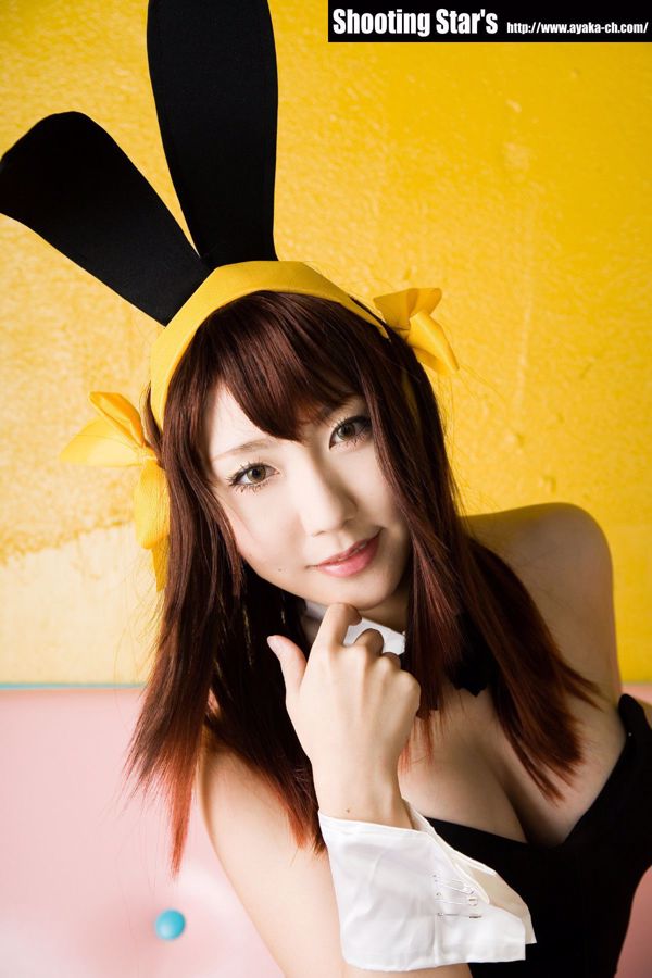 [RQ-STAR] NO.00260 Kimura Arisa Badpakken Badpak: