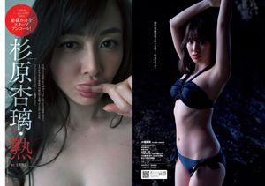 小嶋陽菜 杉原杏璃 紗綾 大伴理奈 藤木由貴 仲村美海 欅坂46 [Weekly Playboy] 2017年No.16 写真杂志