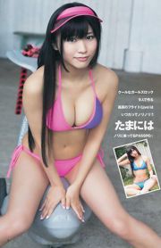 Rino Sashihara Ai Negishi Seika Taketomi [Weekly Young Jump] 2013 No.39 Photograph
