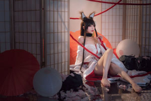 [Foto de cosplay] Blogueiro de anime Teppanyaki Ghost Dance w - Akagi